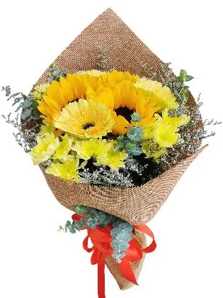 lovely-botanicals
