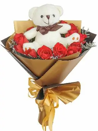cutie-little-teddy