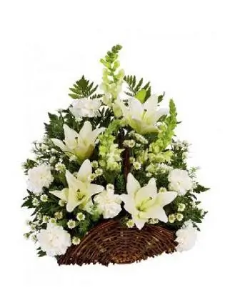 sympathy-&-fortress-basket