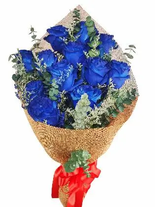 keep-on-shining